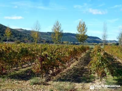 Visita enológica a la Ribera de Duero;murcia senderismo rutas por asturias senderismo canarias